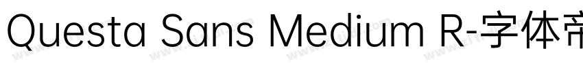 Questa Sans Medium R字体转换
